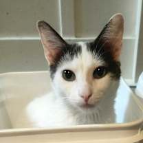 Thumbnail photo of Chatty #3