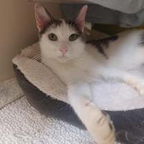 Thumbnail photo of Chatty #1