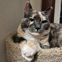 Thumbnail photo of Molly #2