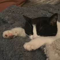 Thumbnail photo of Bette #2