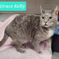 Thumbnail photo of Grace Kelly #2