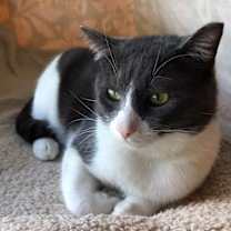 Thumbnail photo of Sprinkles #3