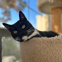 Thumbnail photo of Dorothy #1