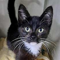 Thumbnail photo of Dorothy #2