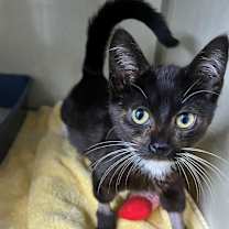 Thumbnail photo of Dorothy #4
