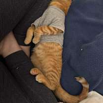 Thumbnail photo of Augie #4