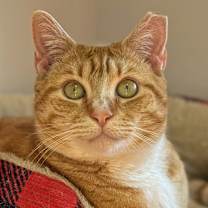Thumbnail photo of Flutterby #1