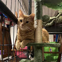 Thumbnail photo of George #3