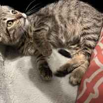 Thumbnail photo of Tinker #4