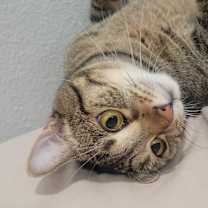 Thumbnail photo of Marley #3