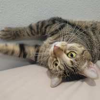 Thumbnail photo of Marley #4