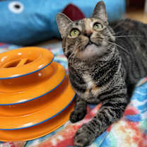 Thumbnail photo of Rhoda #2