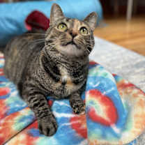 Thumbnail photo of Rhoda #3