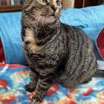 Thumbnail photo of Rhoda #4