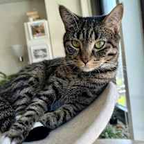 Thumbnail photo of Luna #1