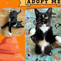 Thumbnail photo of Clint #1