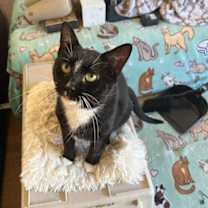 Thumbnail photo of Clint #4