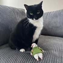 Thumbnail photo of Petunia #1