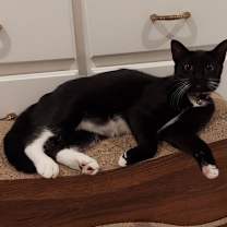 Thumbnail photo of Zora #1