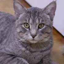 Thumbnail photo of Franklin #3