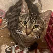Thumbnail photo of Margot #1