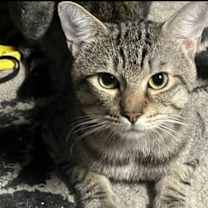 Thumbnail photo of Margot #3