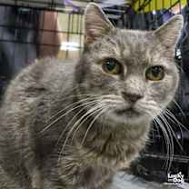 Thumbnail photo of Snuggles #1