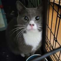 Thumbnail photo of Smokey #3