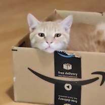 Thumbnail photo of Sam #1
