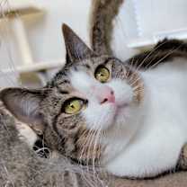 Thumbnail photo of Greta #1