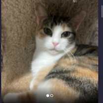 Thumbnail photo of CASEY #1