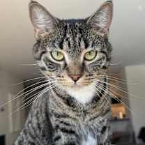Thumbnail photo of Luna #2
