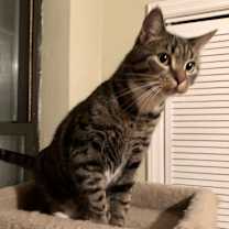 Thumbnail photo of Luna #3