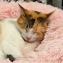 Thumbnail photo of MUNCHIE #3