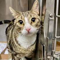 Thumbnail photo of Fred #1