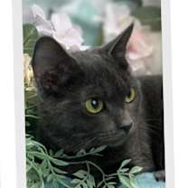 Thumbnail photo of Josephine #2