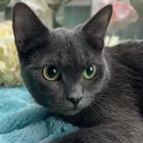 Thumbnail photo of Josephine #3