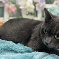 Thumbnail photo of Josephine #4