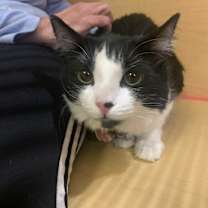 Thumbnail photo of billy jean #1
