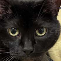 Thumbnail photo of Carissa #1