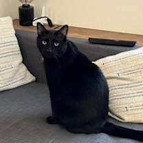 Thumbnail photo of Marcel #1