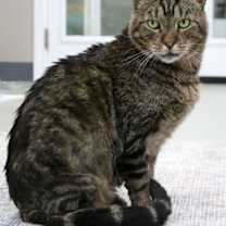 Thumbnail photo of Cedric #3