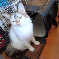 Thumbnail photo of Sunshine #1