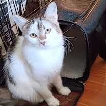 Thumbnail photo of Sunshine #2