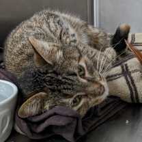 Thumbnail photo of DARLENE #2