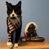 Thumbnail photo of Lucy #3