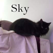 Thumbnail photo of Sky #2