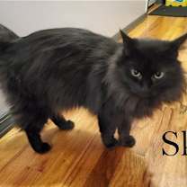 Thumbnail photo of Sky #3