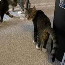 Thumbnail photo of William #4