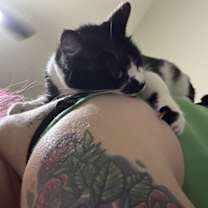 Thumbnail photo of Magpie #1